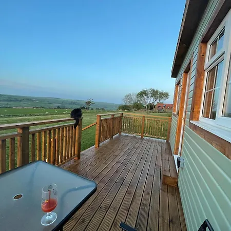 Chalet Keepers Shepherd Hut With Hot Tub Whitby