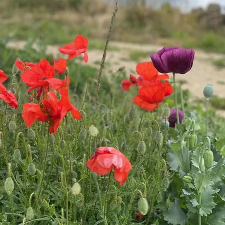 Cuddles & Bubbles Cozy With Jacuzzi Hot Tub Whitby