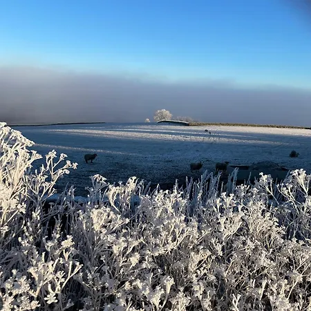 Cuddles & Bubbles Cozy With Jacuzzi Hot Tub * Whitby