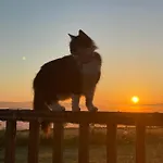 Cuddles & Bubbles Cozy With Jacuzzi Hot Tub *